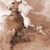 ranchersales